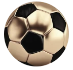 Trang chủ icon ball